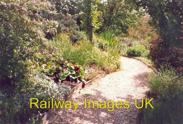 Photo - Path in the Drought Garden Barnsdale Exton c1999