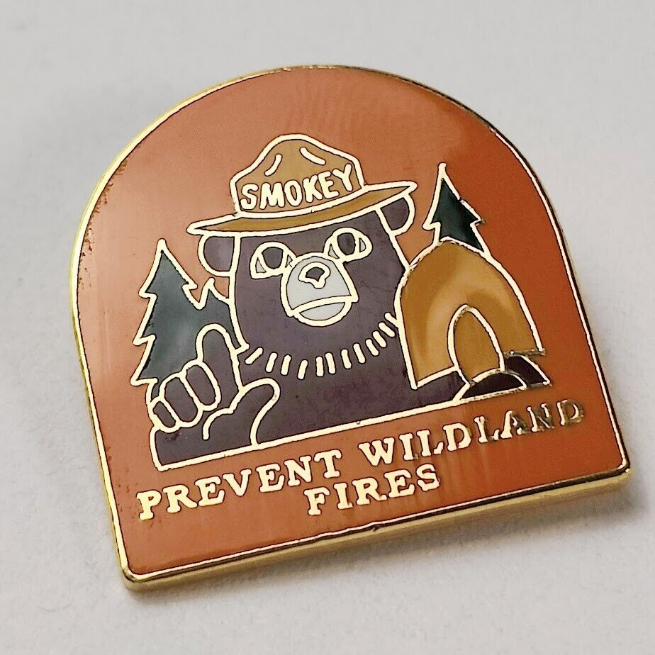 Vintage Smokey Bear Lapel Pin USA Gold Orange Only U Prevent Wildland Fires USDA