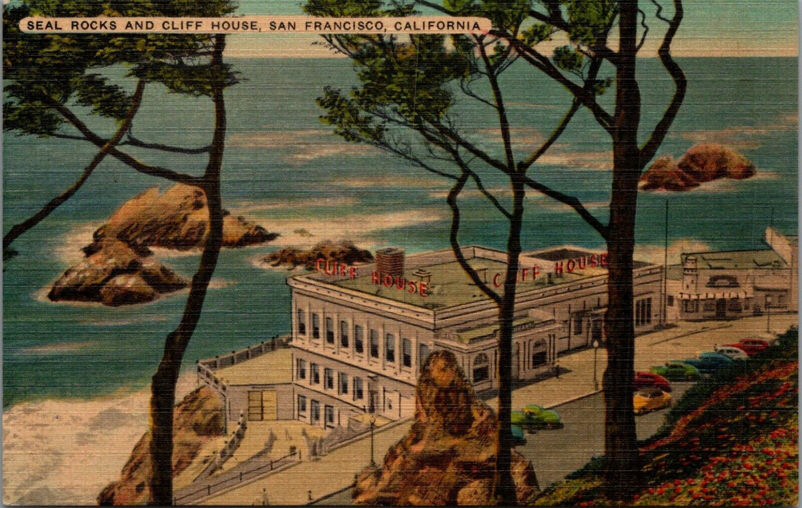 Seal Rocks & Cliff House San Francisco California Postcard D204