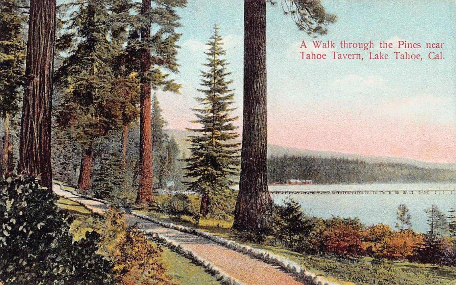 Lake Tahoe Tavern CA California Lake View Pines Olympic Drive Vtg Postcard C38