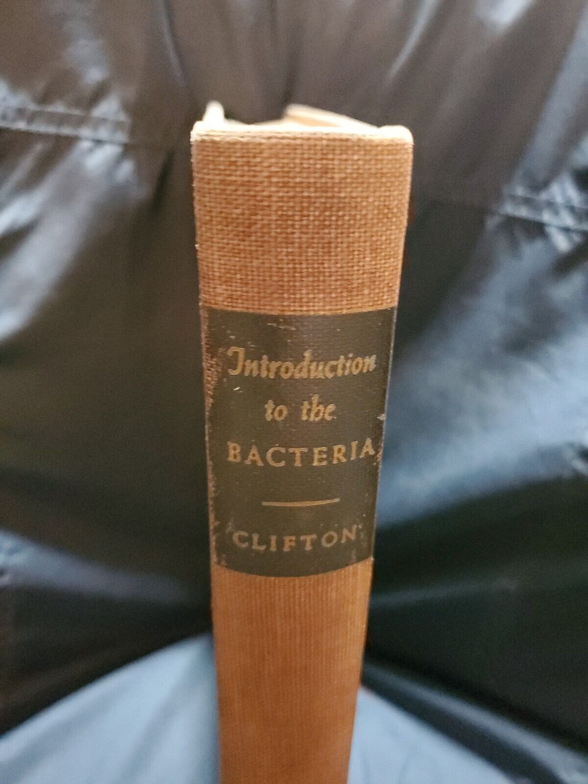 Introduction to the Bacteria by C. E. Clifton PhD 1950 Illustrated Hardcover 