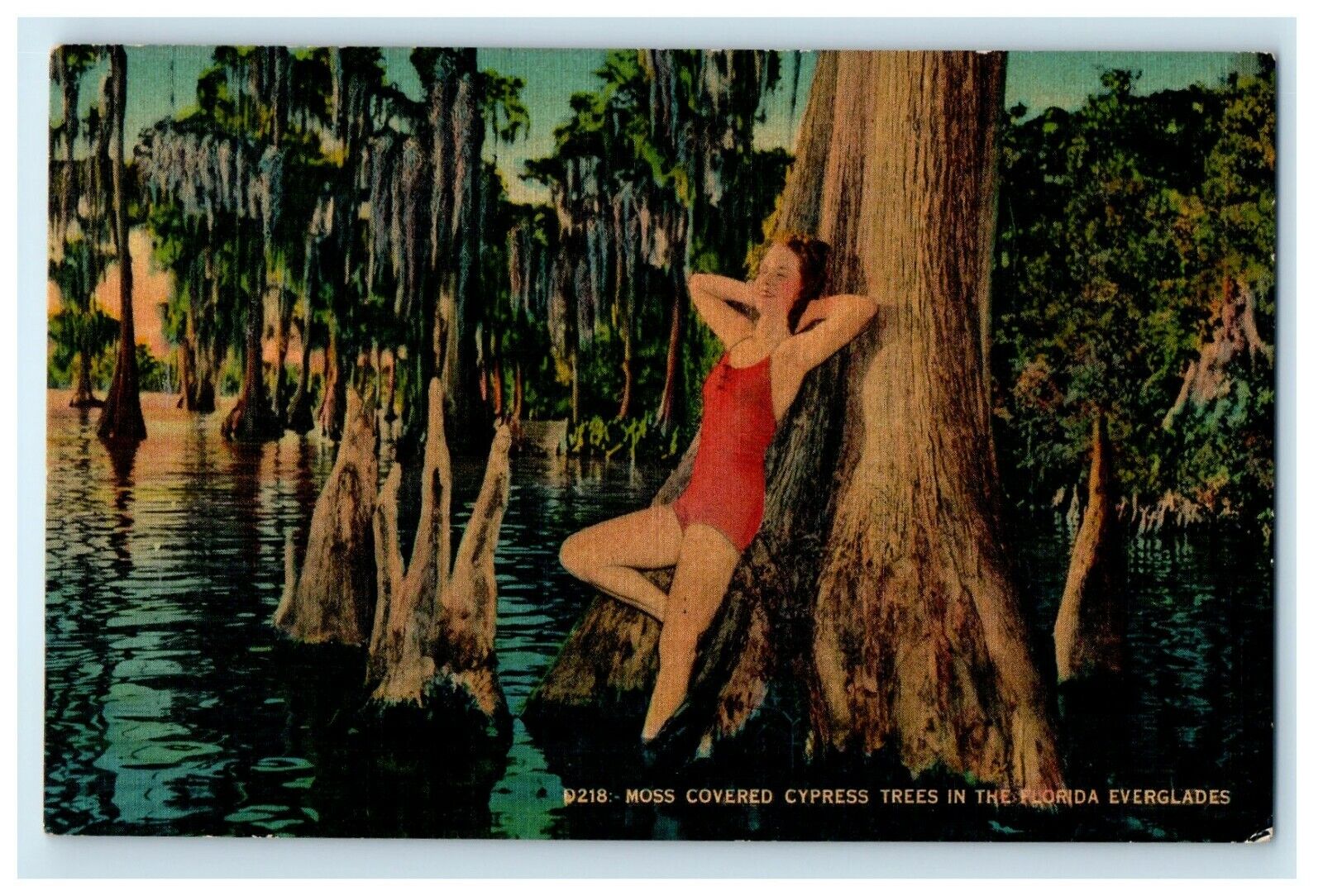 1942 Moss Covered Cypress Trees In Florida Everglades Pretty Women Suit Postcard