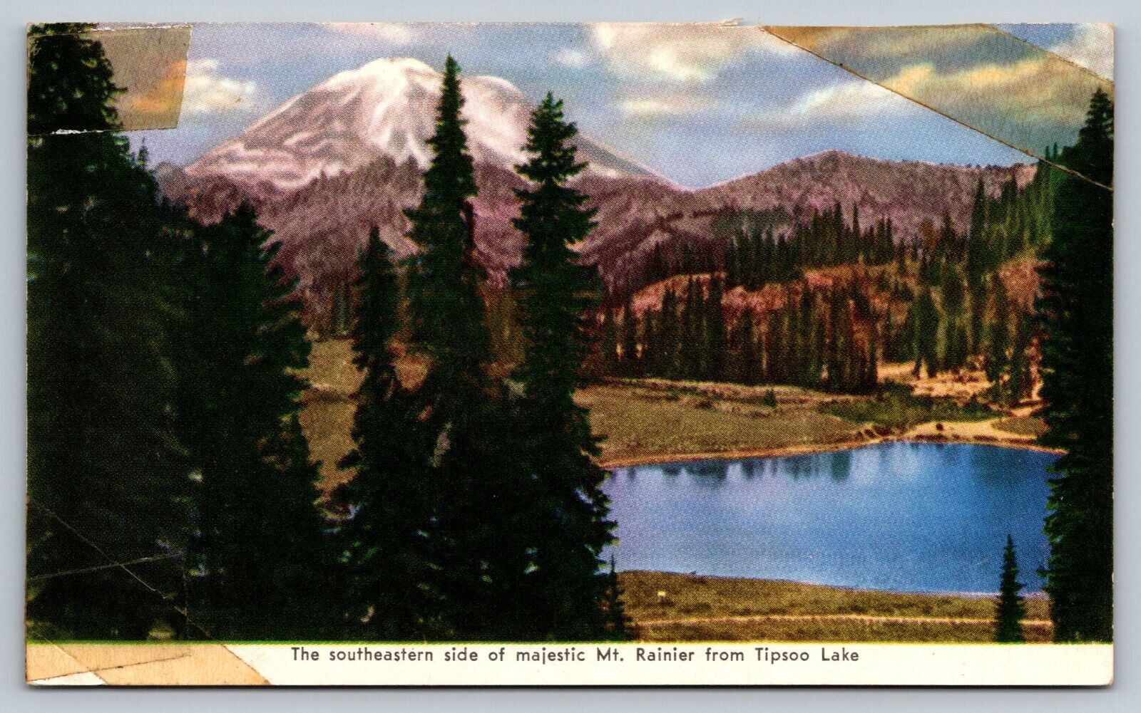 Vintage Postcard Southeastern Side Of Majestic Mount Rainier From Tipsoo Lake WA