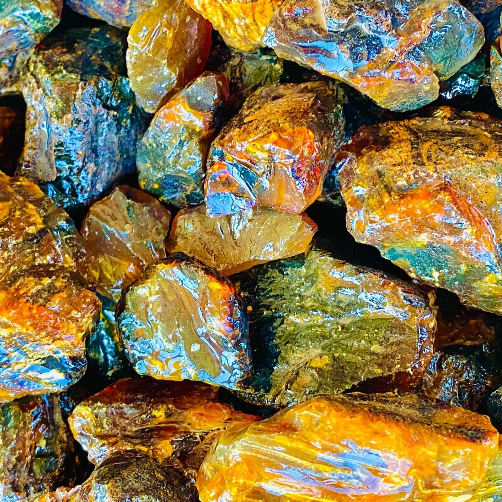 UV Active Indonesian Copal Amber Tree Resin Raw Rough Crystal Natural Mineral