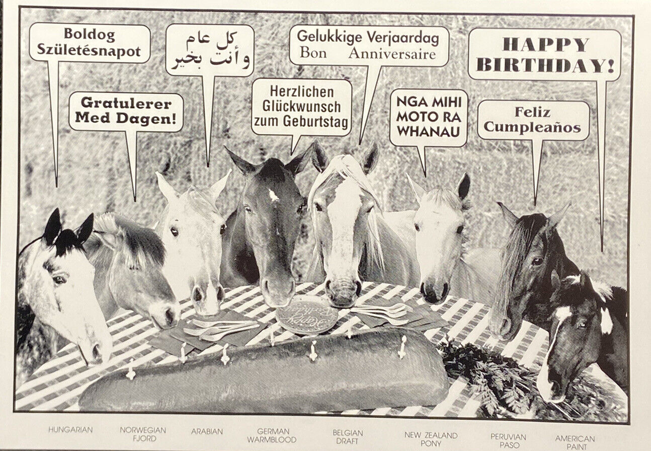 Birthday Card- Happy Birthday In 8 Languages - Horses-  Funny Vintage Postcard