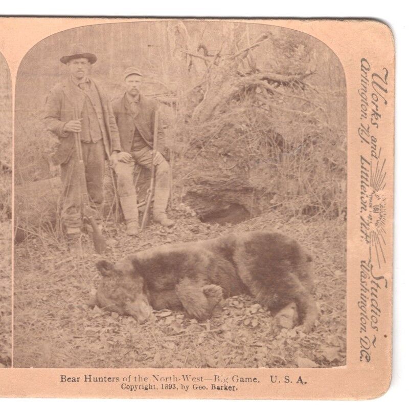Stereoview Card: 2 Bear Hunters in the Northwest c.1893