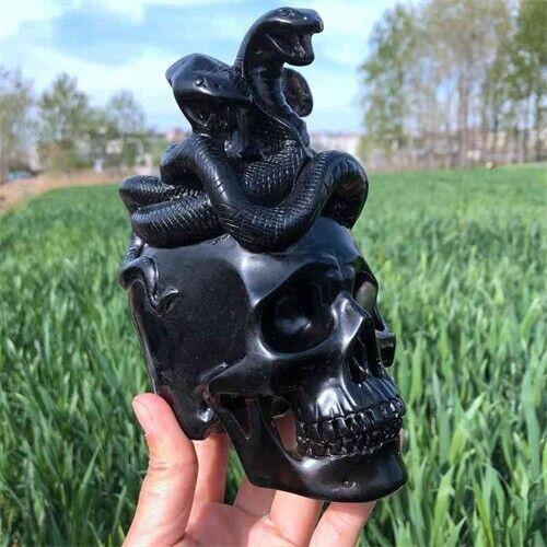 Natural Obsidian Snake Skull Quartz Crystal carved Skull reiki gift decor  1620g