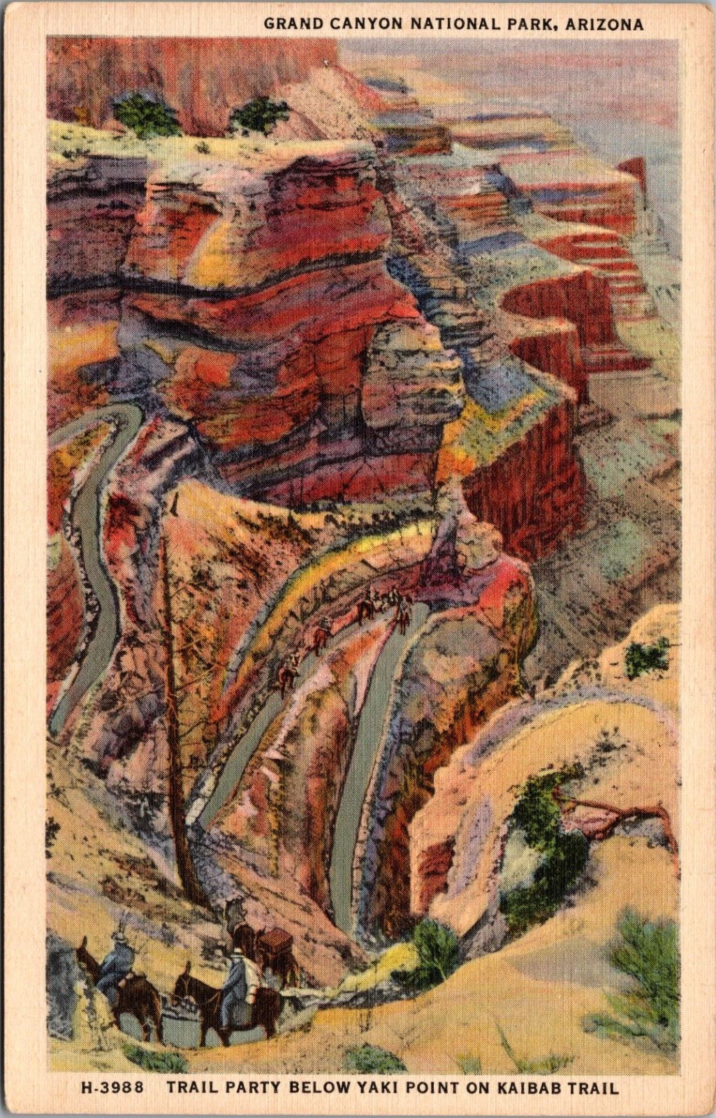 Kaibab Trail Riding Pack Horses Grand Canyon Nat Park AZ Fred Harvey Postcard