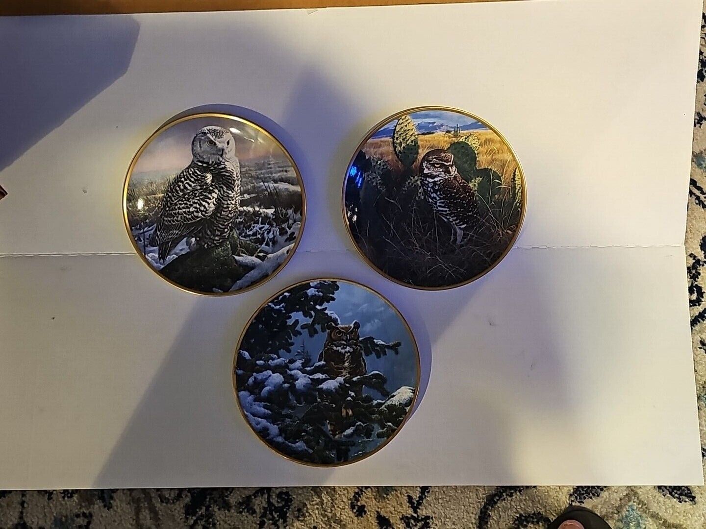 Hamilton Collection: Set of 3 Noble Owls of America Plates 