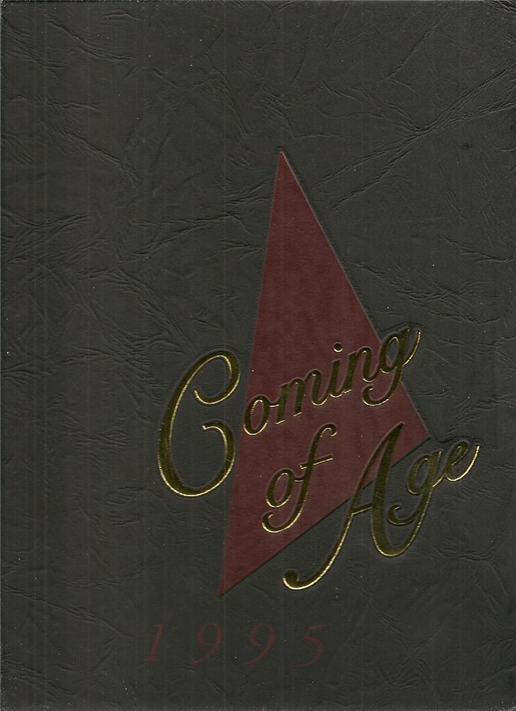 Harnett Central High School Yearbook 1995 Angier, NC  (Troiani)