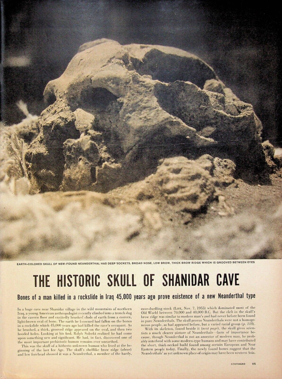 1957 Historic New Neanderthal Type Skull of Shanidar Cave 4-Page Print Article