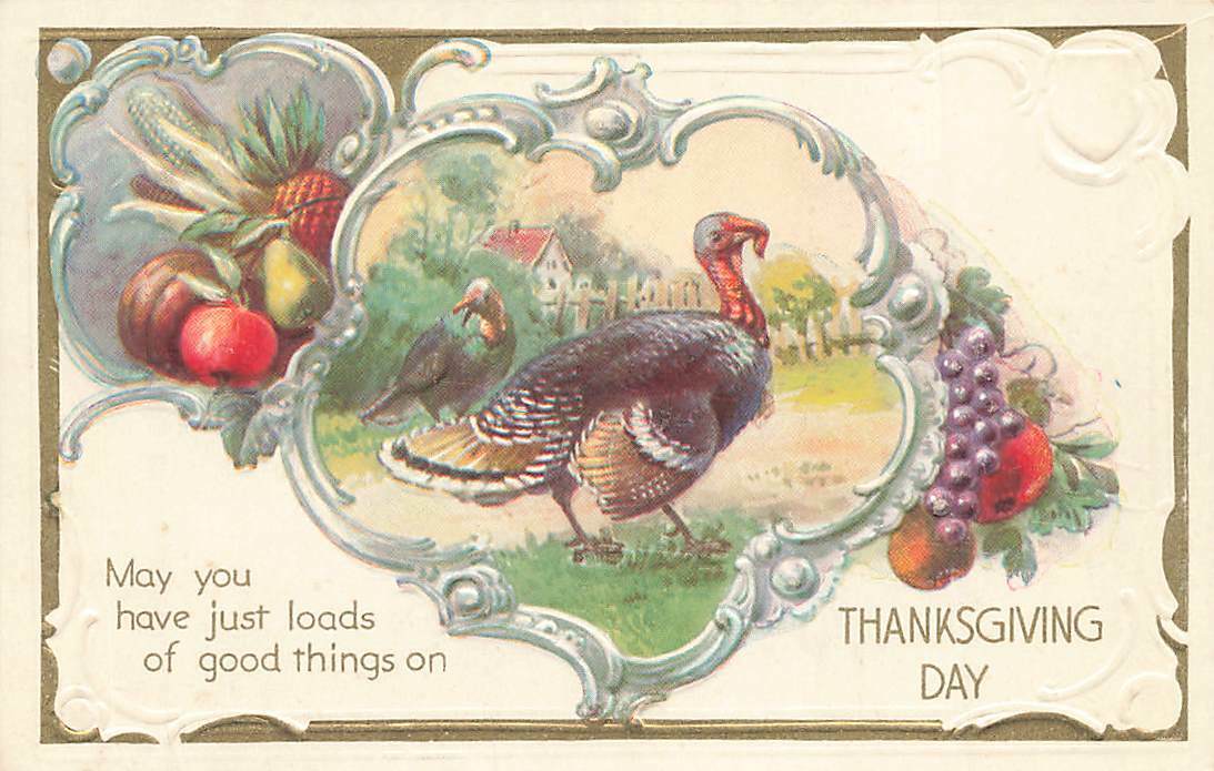 c1910 Turkeys Grapes Apple Pear Pineapple House Thanksgiving P291