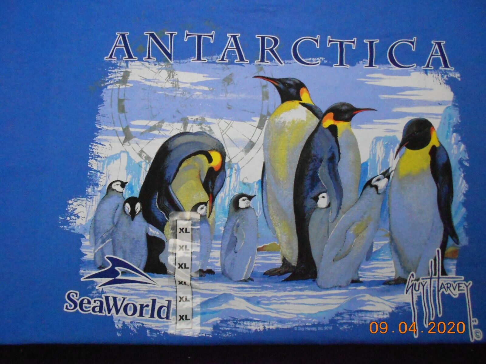 New Guy Harvey Seaworld XL Blue Antarctica Penguin Baby Chicks too Ice $27.95 