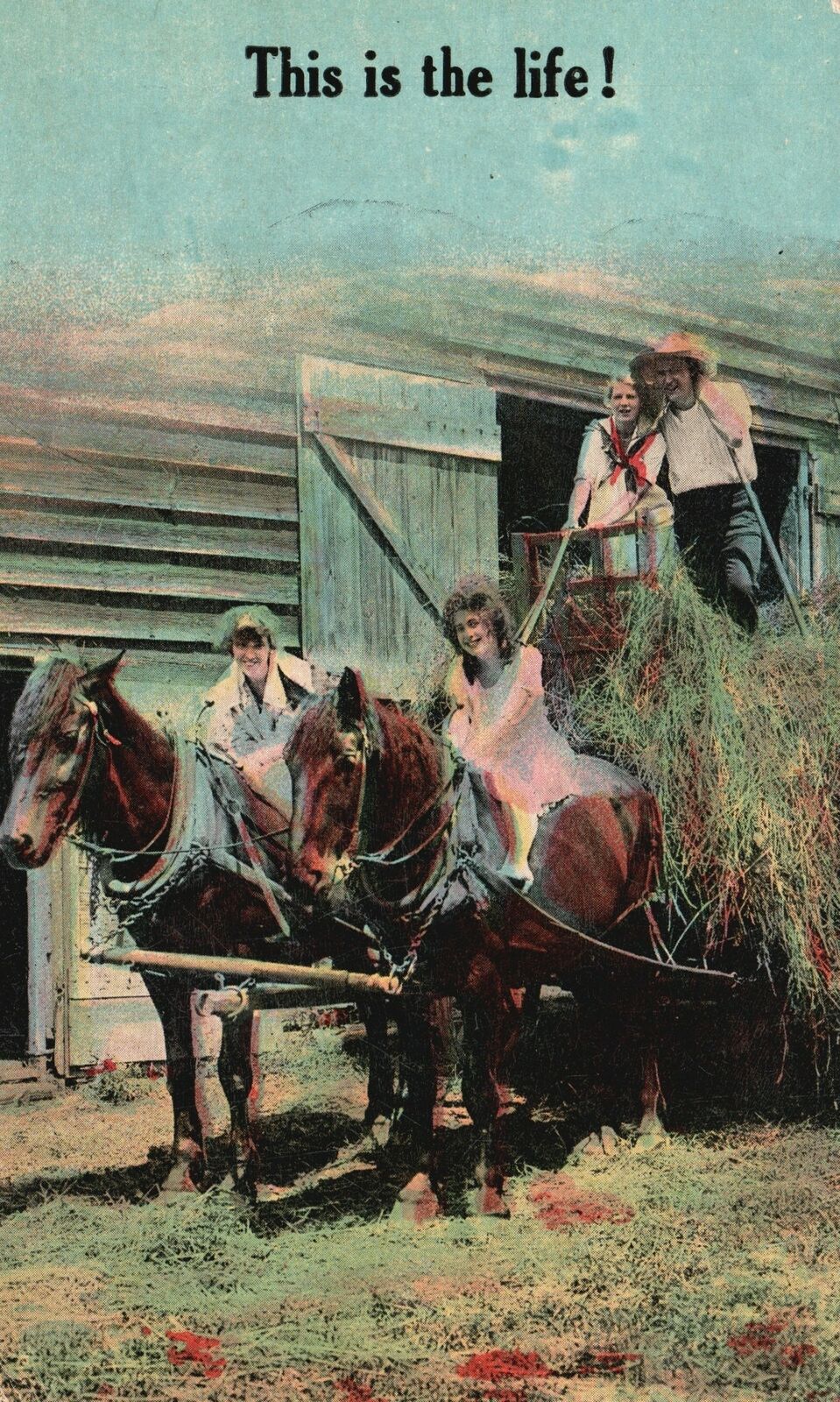 Vintage Postcard This Is The Life Typical Farming Transportation