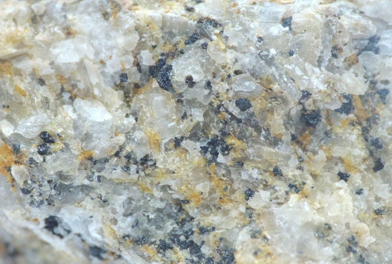 Perovskite var Dysanalyte on Matrix Rare Mineral Specimen *Orberg Quarry*