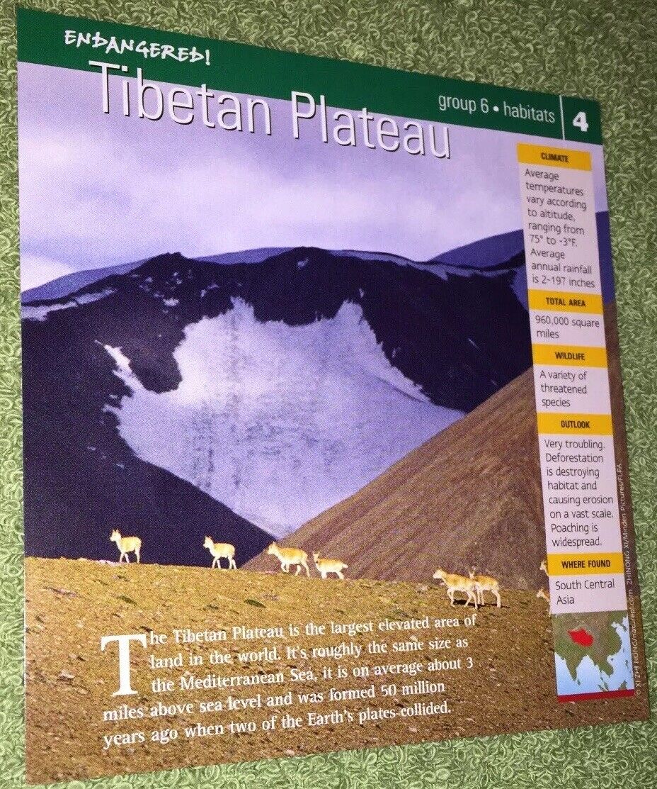 Endangered Species Animal Card - Habitats - Tibetan Plateau #4