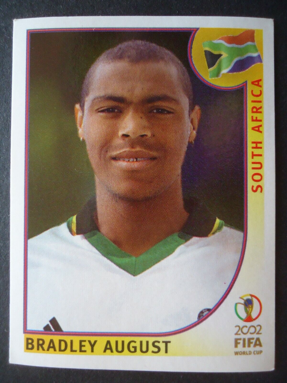 Panini Sticker 163 Bradley August South Africa South Africa 2002 World Cup Korea Japan
