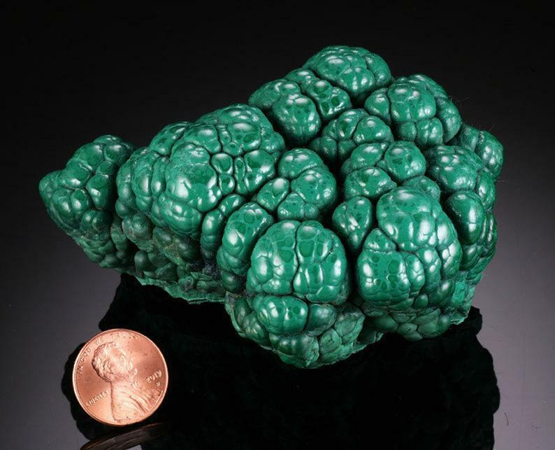 This awesome Malachite Brain displays excellent botryoidal growth well defined