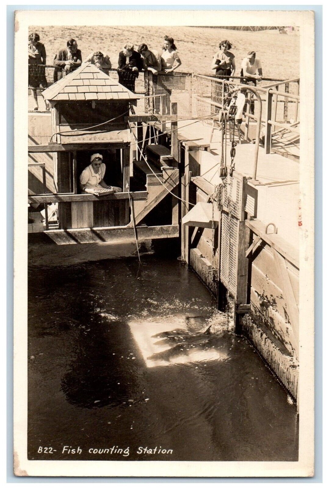 c1940\'s Fish Counting Station Worker Crowd RPPC Photo Postcard