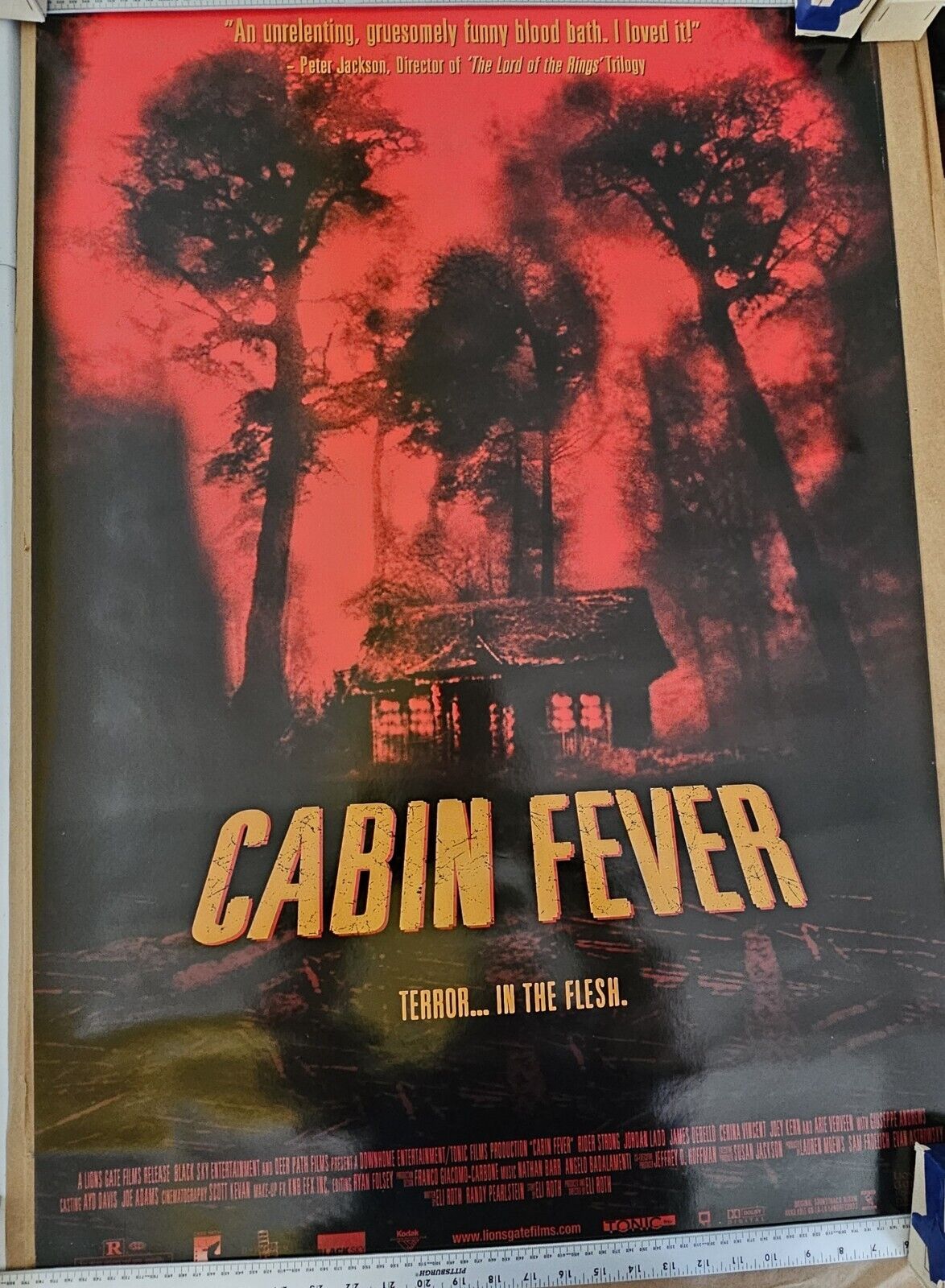 New Cabin Fever DVD promotional Movie poster