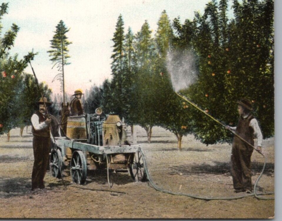 Pesticide Spraying Apple Trees Oregon Postcard