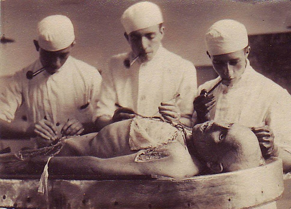 Antique Medical Autopsy Photo 393b Oddleys Strange & Bizarre