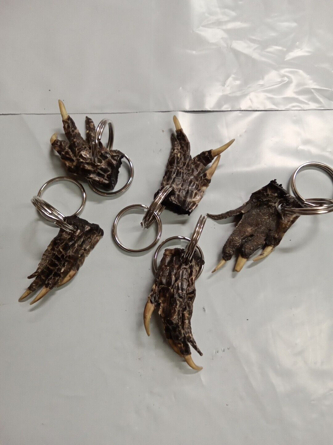 Alligator Foot Keychain Nail Cleaners New