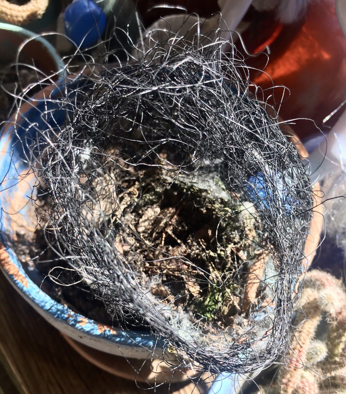 Abandoned Bird’s Nest Composite Materials Wool Plastic Woven Pendant Hanging