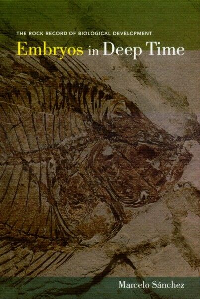 NEW Fossil Dinosaur Embryos Genetics Marine Evolution Climate Ecological Changes