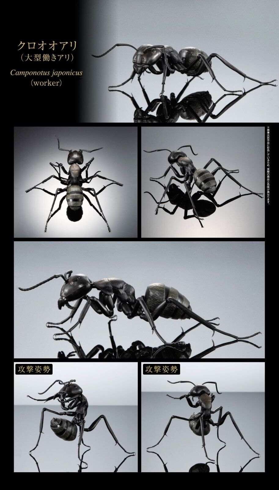The Diversity of Life on Earth Ant Bandai Gashapon Figure Camponotus Japonicus