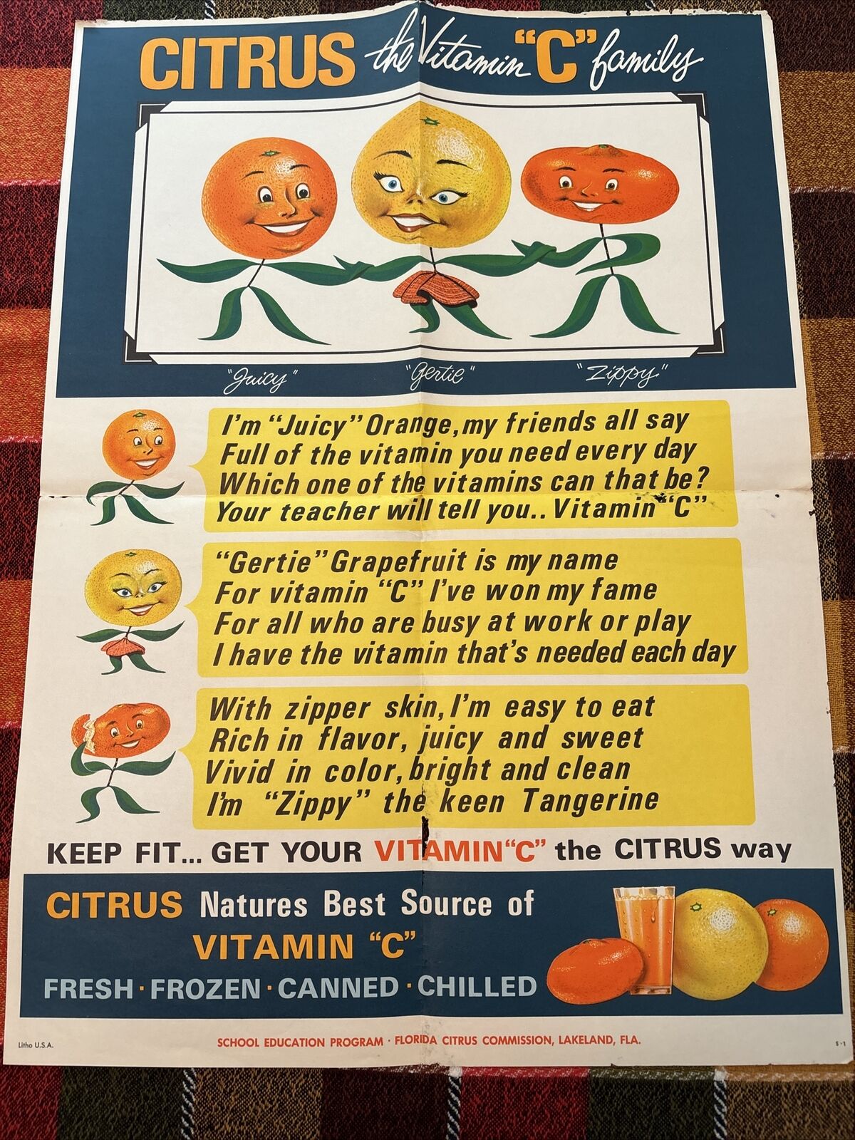 Vintage nutritional School poster citrus the vitamin C family 18”x24”