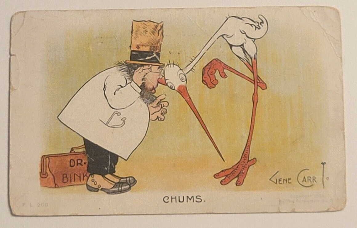 Doctor Stork Fun Postcard Famous Artist Gene Carr 1907 Stamped Divided Back