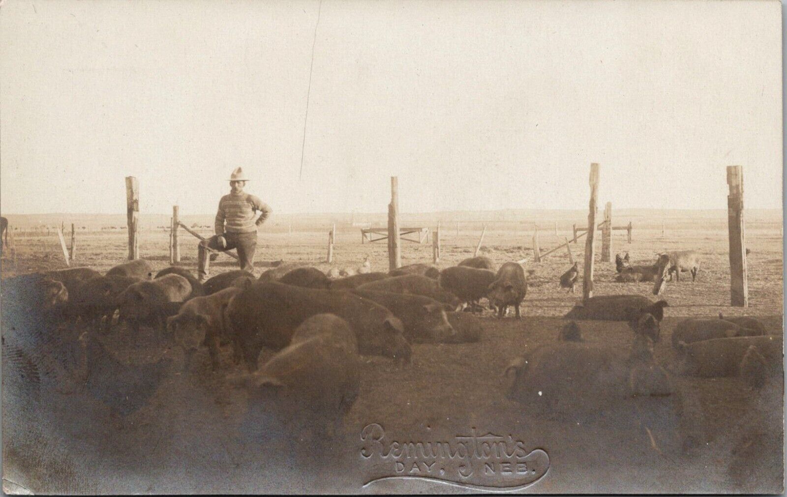 Postcard NE Day, Nebraska; Hog Rancher; Ghost Town; Corral, Deuel County RPPC Bs