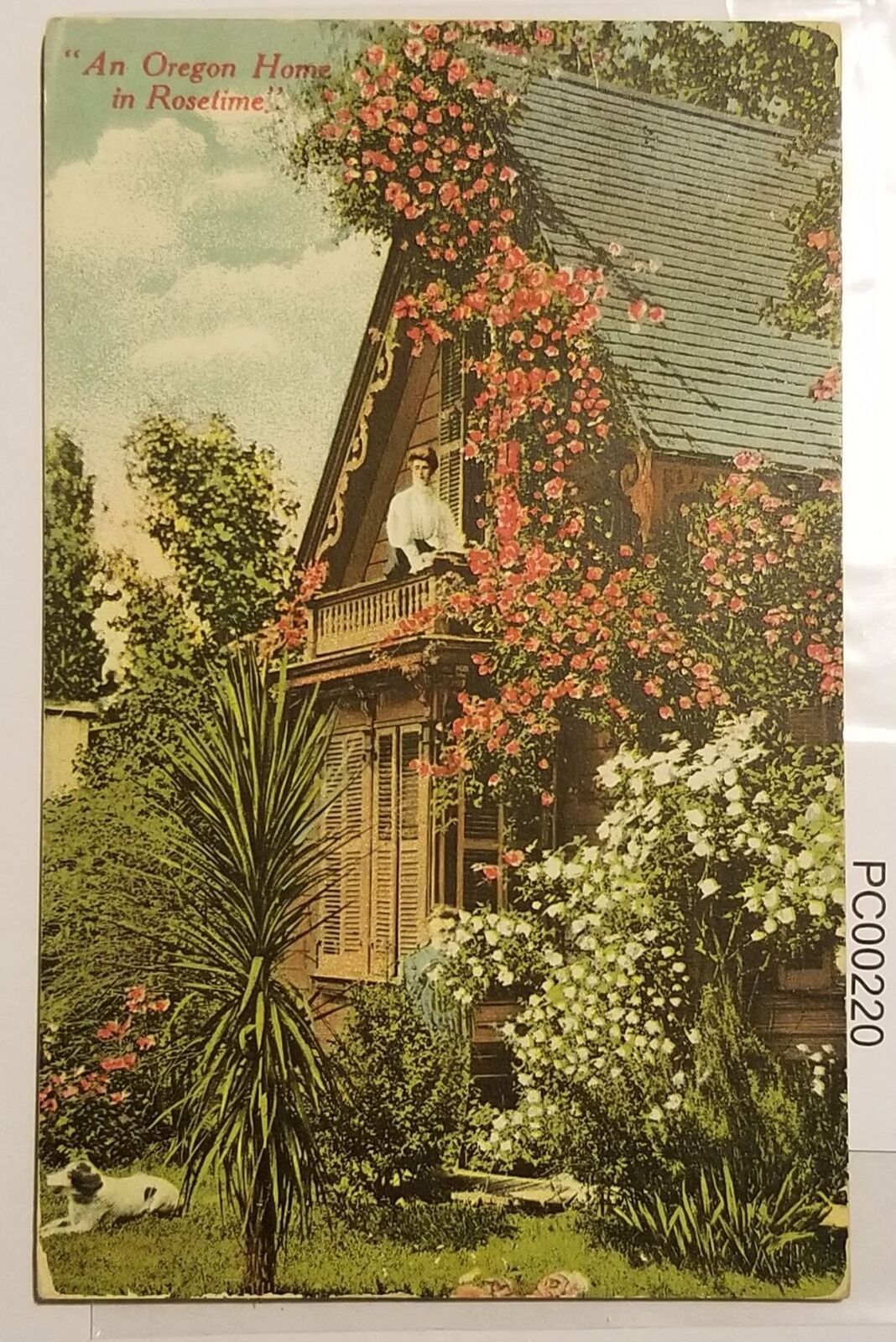 Portland Oregon Home at Rosetime w Woman on Balcony & Dog Postcard