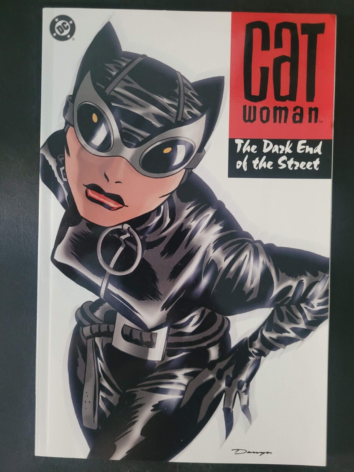 CATWOMAN THE DESK END OF THE STREET TPB DC COMICS 2012 DARWYN COOKE BRUBAKER