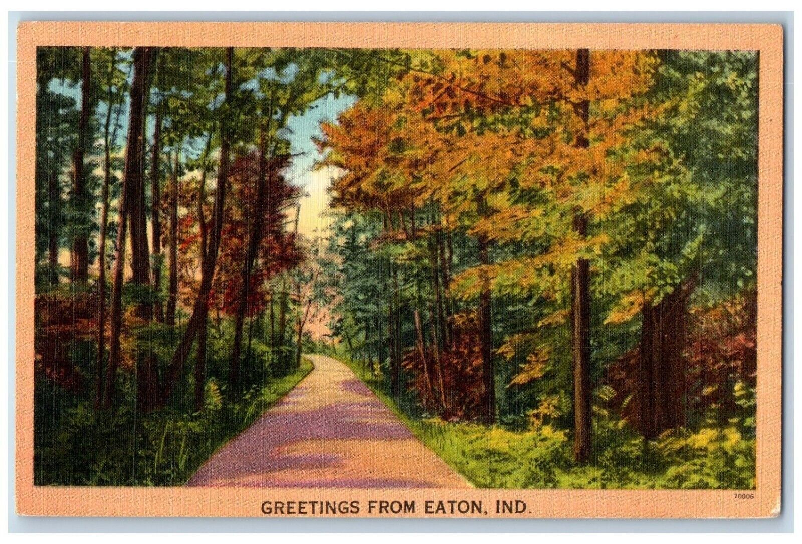 Eaton Indiana IN Postcard Greetings View Of Curve Road And Trees 1950 Vintage