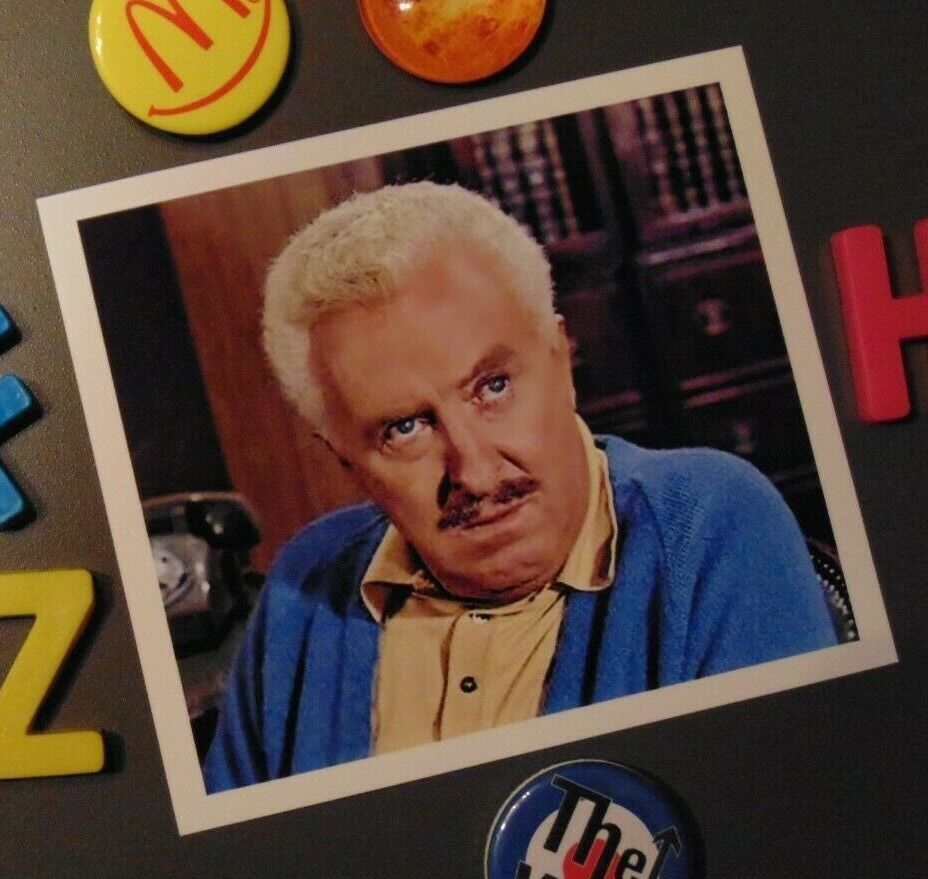 BEWITCHED Fridge MAGNET Gift Larry Tate 1960\'s TV Show Sitcom Funny Witch Comedy