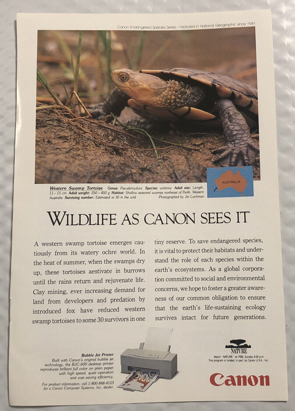 Vintage 1994 Canon Original Print Ad Full Page - Wildlife As Canon Sees It