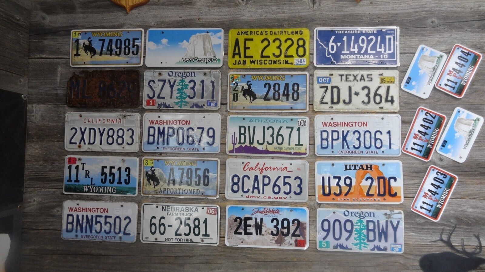 25 Craft License Plates Road Kill License Plates with damage great for crafts