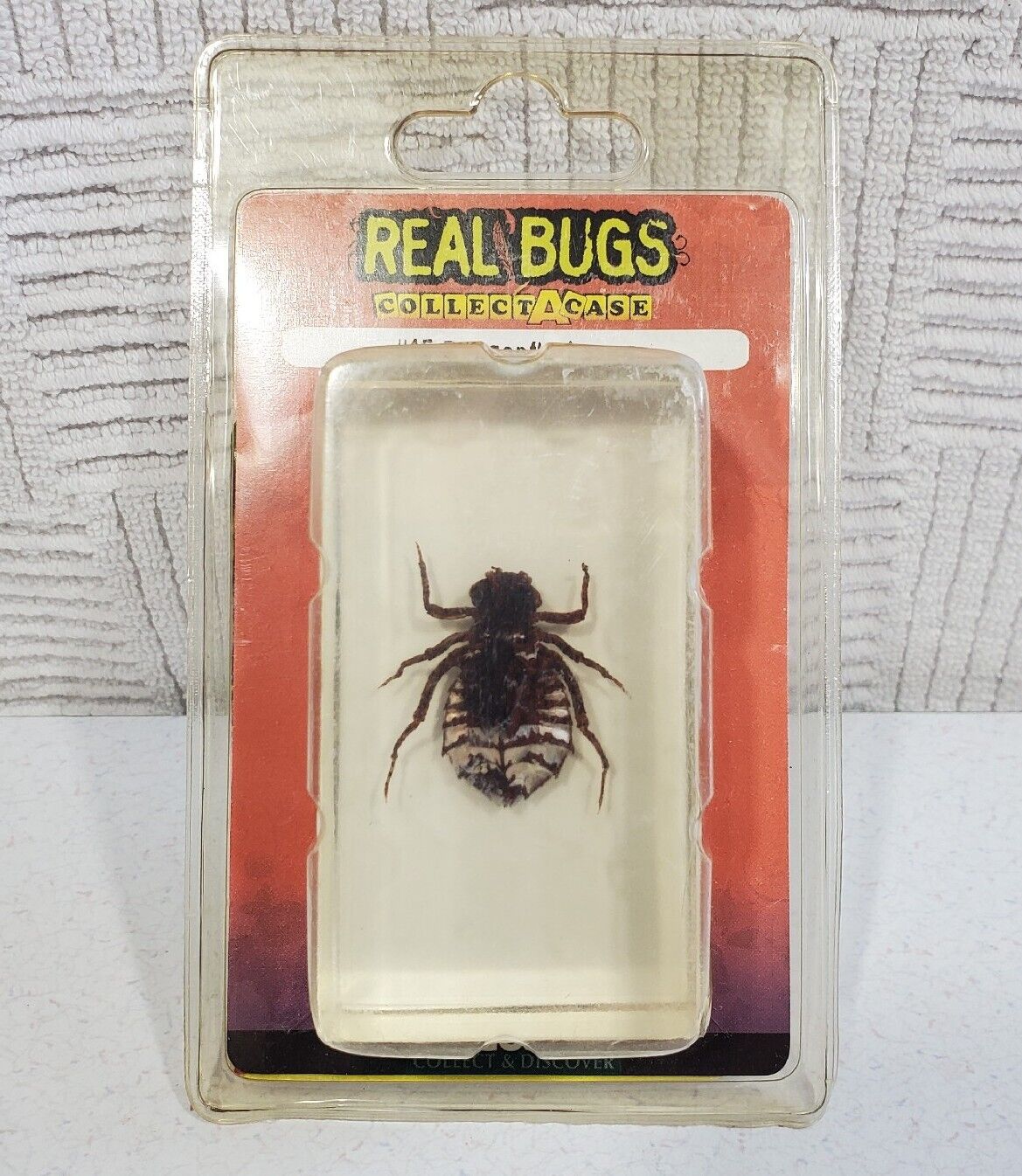 REAL BUGS In Resin DeAgostini COLLECT A CASE #18 Dragonfly Larvae New Bug