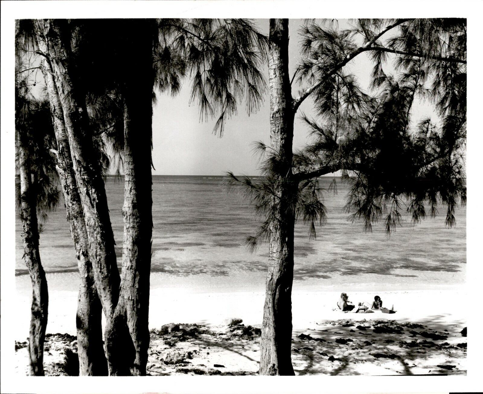 LG925 Orig Photo EXUMA BAHAMAS Beautiful Tropical Island Dream Vacation Beach