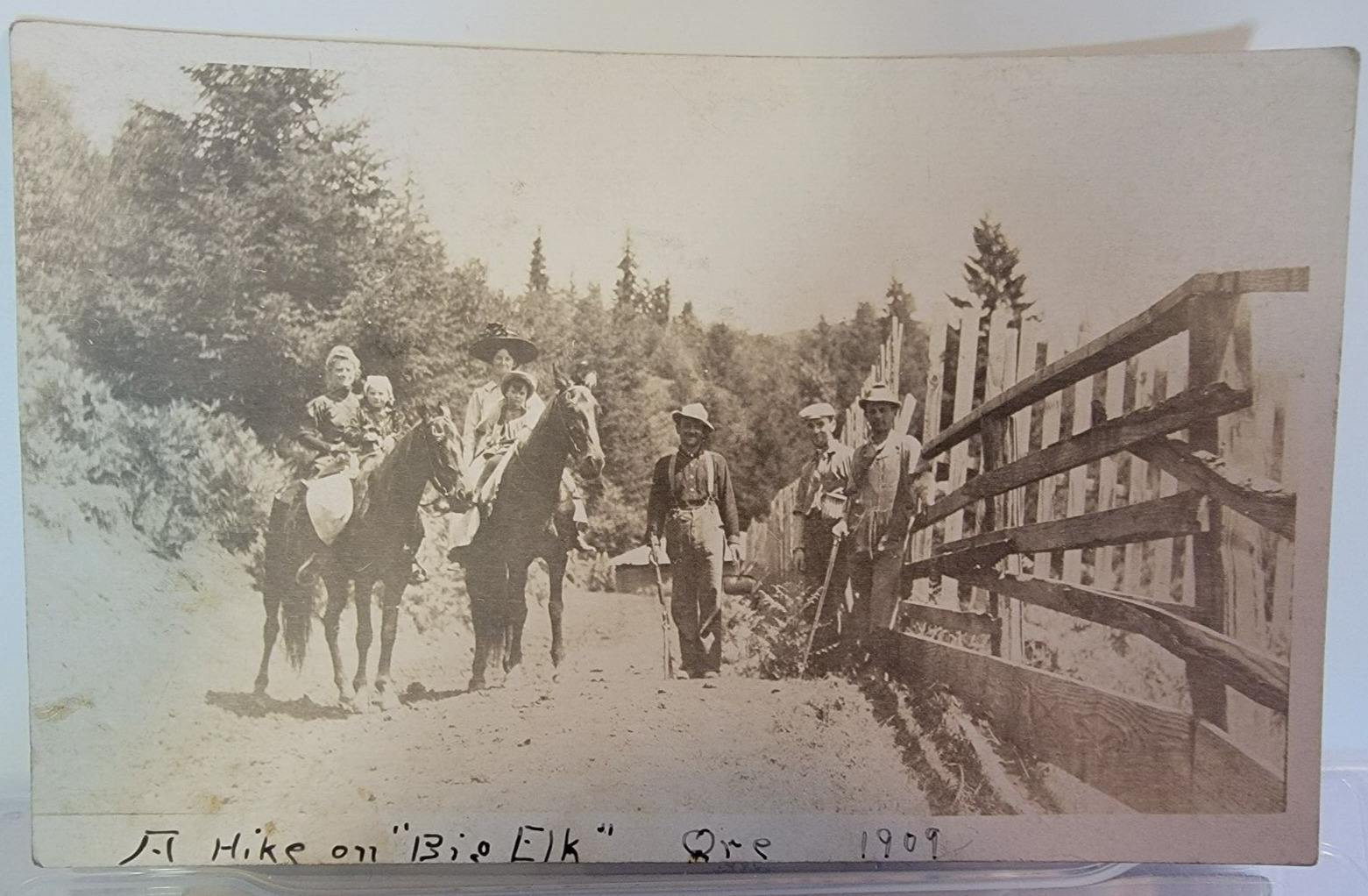 Hike on Big Elk Creek Oregon OR Real Photo RPPC Postcard 1909 Children Horses