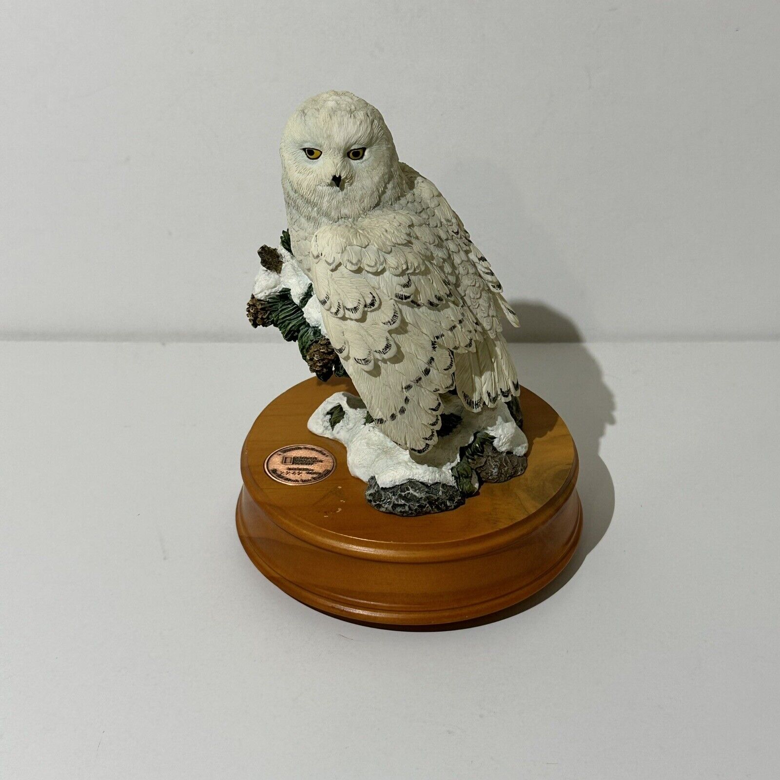San Francisco Music Box Co. National Geographic Snowy Owl plays Moonlight Sonata