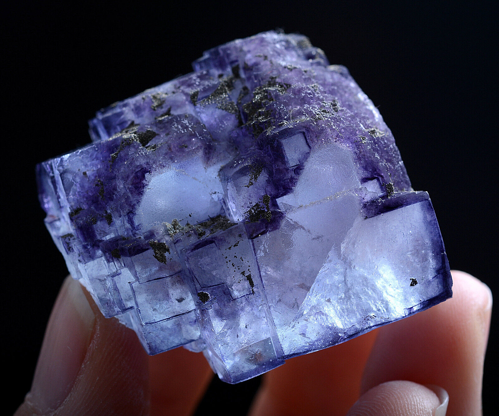 51g Natural Phantom Purple Fluorite & Pyrite Mineral Specimen/Yaogangxian China