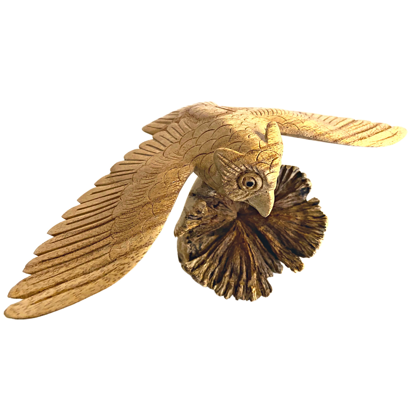 Owl Bird of Prey Sculpture Hand Carved Parasite Mushroom Wood Statue Bali art
