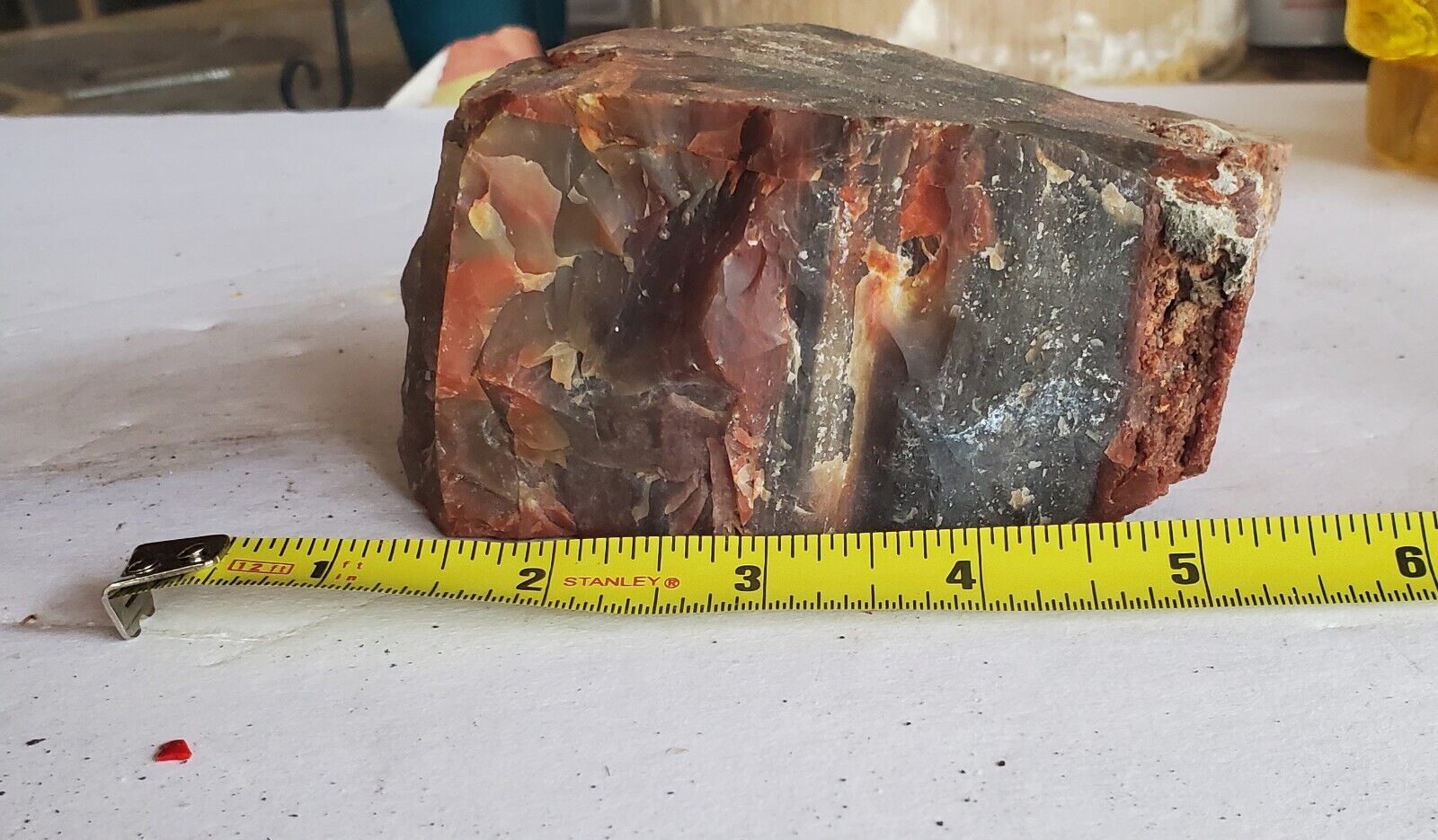 Rainbow Petrified Wood Natural Slab Rough Raw Solid Fossil 2.3 LBS