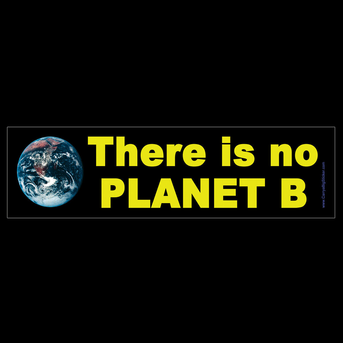 There is no Planet B BUMPER STICKER or MAGNET magnetic climate change ecology