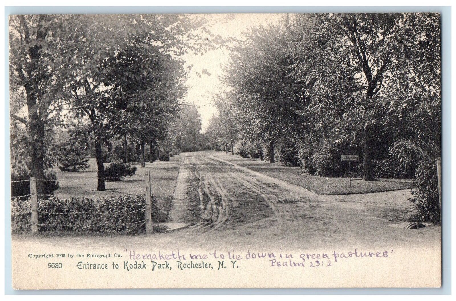 c1905 Entrance Kodak Park Dirt Road Fence Trees Rochester New York NY Postcard