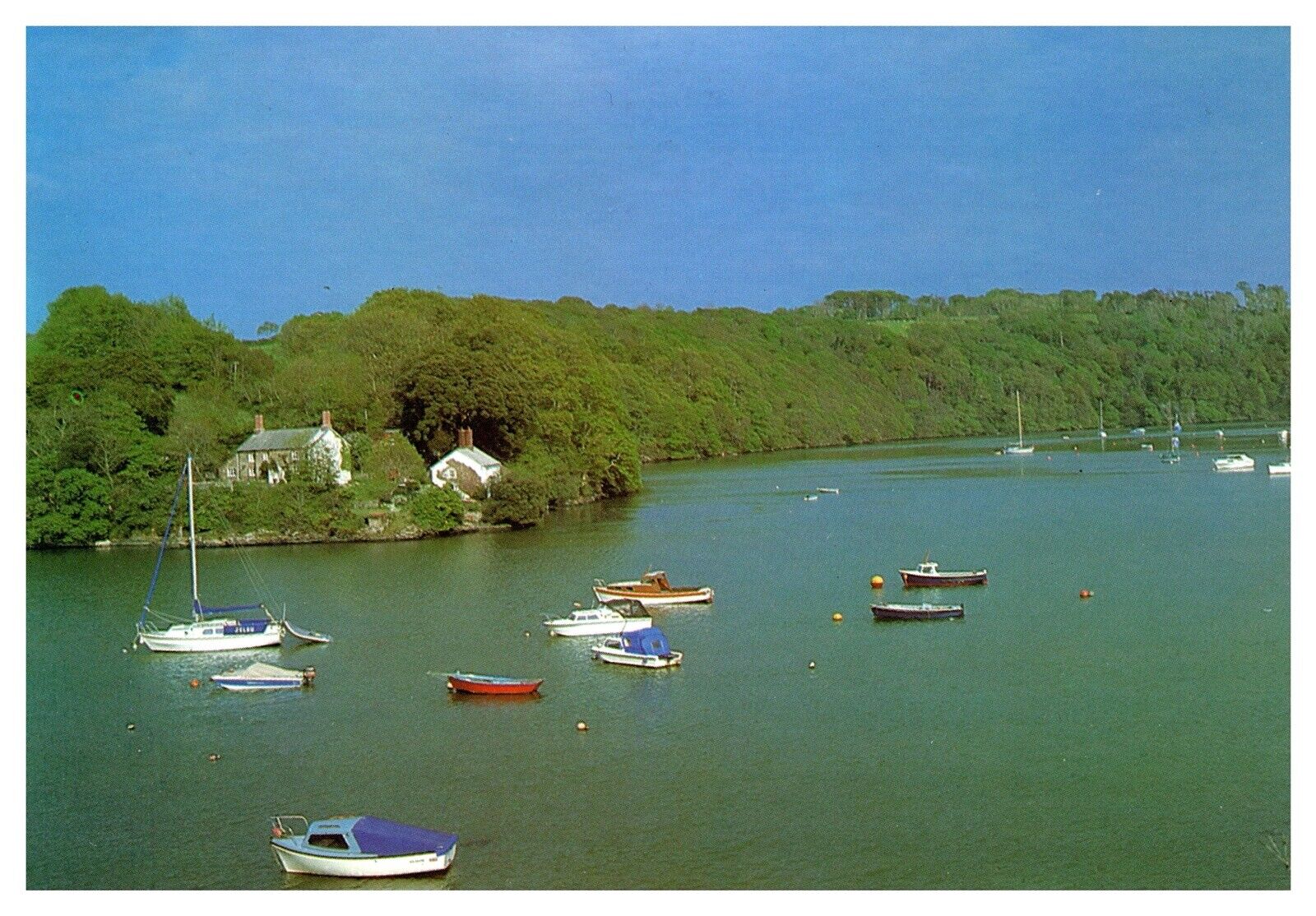 Malpas Truro Sussex Boats Lake Trees Woods Summer Chrome Postcard UNP
