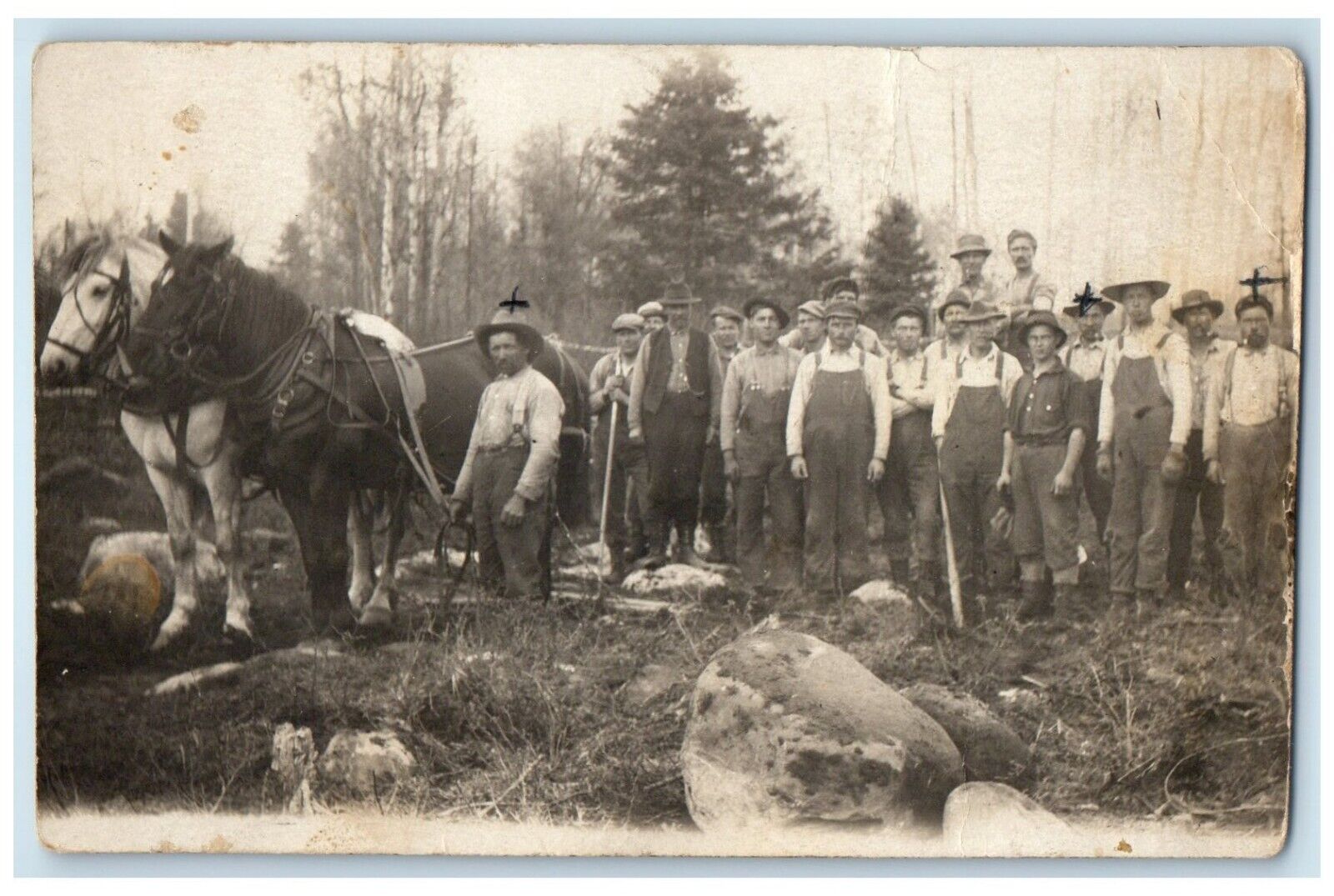 c1910's Horse Team Occupational Men Boulder Rocks Farming RPPC Photo Postcard